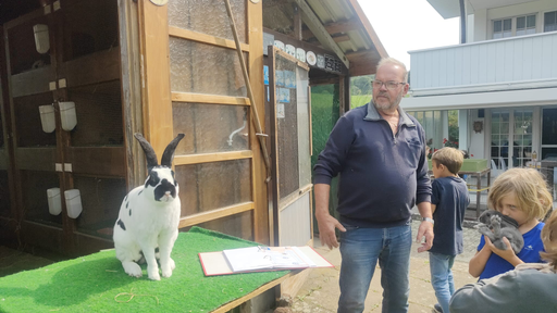 Kaninchen