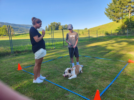 Hundeschule