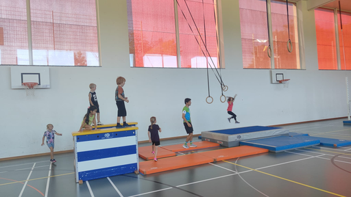 Ninja Warrior